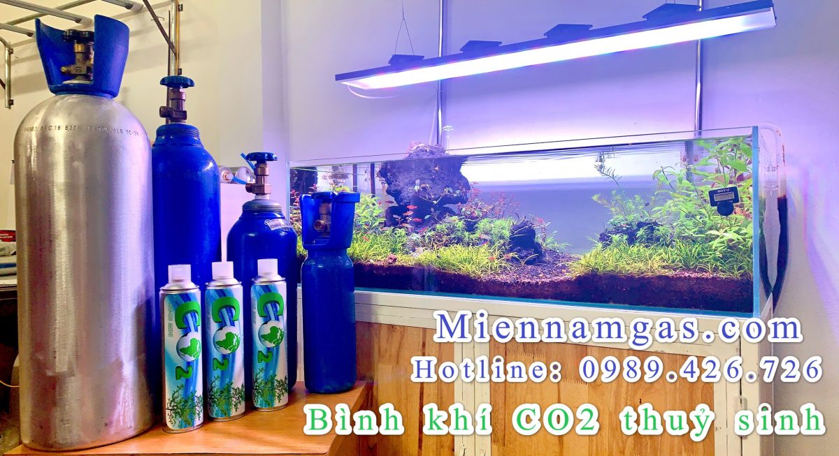 BÁN BÌNH KHÍ CO2 THỦY SINH