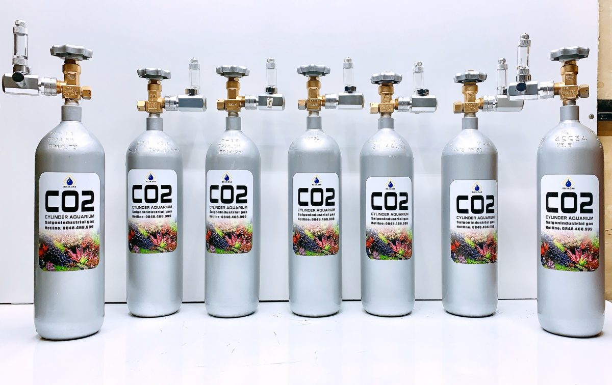 BÌNH CO2 THỦY SINH 3KG
